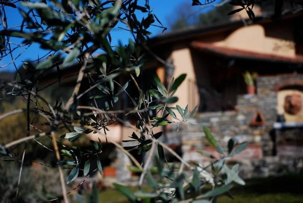 Eterna Roma Residence-1